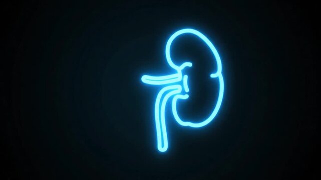Glowing neon blue kidney silhouette outlined in a dark background.