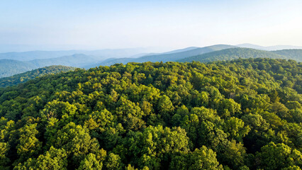 Fototapeta premium Aerial View of Lush Green Forest Covering Rolling Hills on a Sunny Day, Mountain Range