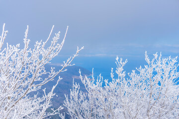 冬の山頂に広がる美しい樹氷と遠望の海景