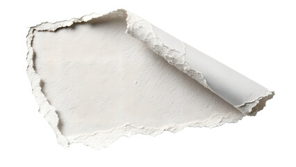 Curled Hole In White Paper isolated on transparent background