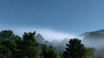 Naklejka premium A serene misty night scene with a blanket of fog over forested hills beneath a starry sky