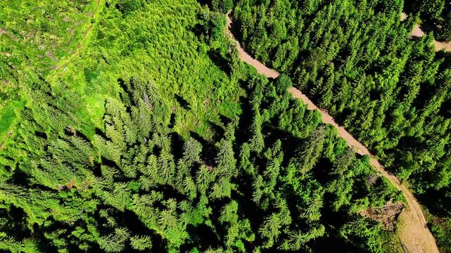 Aerial drone video of Pasul Bicaz (P&acirc;ng&icirc;rați), Carpathian Mountains, Romania