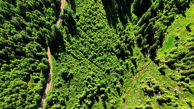 Aerial drone video of Pasul Bicaz (P&acirc;ng&icirc;rați), Carpathian Mountains, Romania