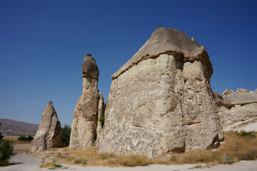 Fairy Chimney in Pasabag Valley, Nevsehir, Turkiye