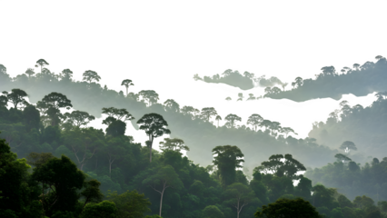 Dramatic Amazon rainforest landscape with lush green trees and misty atmosphere