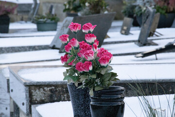 Vibrant pink artificial roses in a black stone vase on a snow-covered grave in a cemetery
