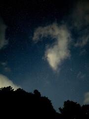 Fototapeta premium 曇と星空