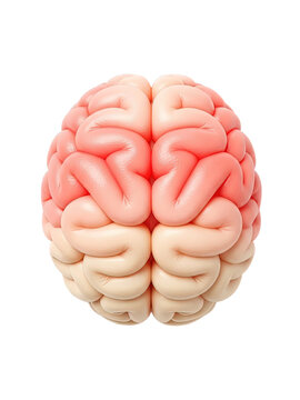 3D glossy human brain top view isolated on transparent background