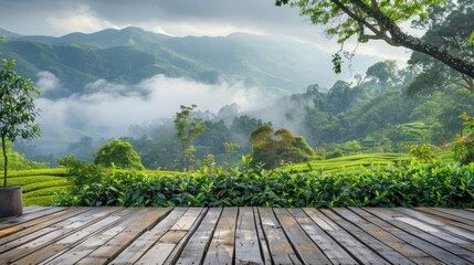 Scenic view of a lush green landscape with mountains