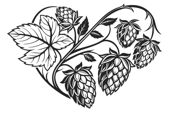  Black and white illustration, heart-shaped composition, detailed hop cones, intricate botanical drawing, beer ingredient art, clustered hops, vine leaves, realistic texture, vintage engraving style