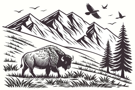 Detailed engraving style, bull grazing in mountain meadow, majestic snow-capped peaks, pine forest silhouette, soaring birds, intricate line work, black and white illustration, vintage woodcut aest