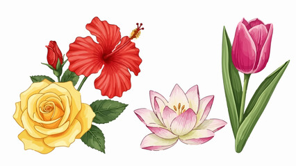 A yellow rose, red hibiscus, pink lotus, and pink tulip on a white background