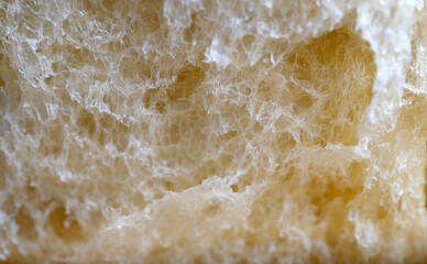 Bread texture macro shot. Close up bread surface background