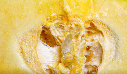 Macro close-up of fresh pumpkin cut in half, revealing yellow flesh, seed and natural fibrous texture inside