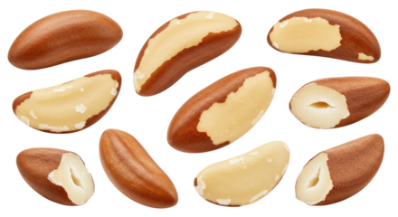 Close-up assortment of whole and halved Brazil nuts