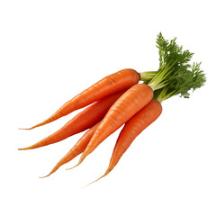 Fresh orange carrots with green tops on a white background