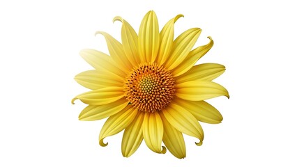 Fototapeta premium Close-up of a stunning vibrant yellow flower with intricate petals and a detailed center, symbolizing nature's beauty, summer joy, and botanical elegance