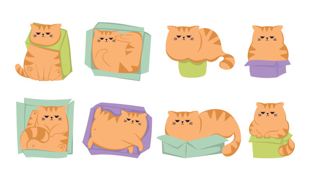 The collection of cute funny grumpy ginger cat in the paper box cartoon. 
Cats sitting, sleeping and playing in cardboard box. Cute funny cat character in different poses with box.