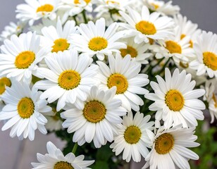 White daisy flowers cluster, bright yellow centers, delicate petals create a soft, cheerful spring bloom