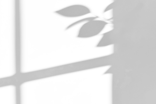 branches and windows shadow on white wall,shadow overlay effects of realistic abstract natural tree leaves shadow on wall background,Summer sunlight and shadow overlay effect,branches and tree shadow - Powered by Adobe