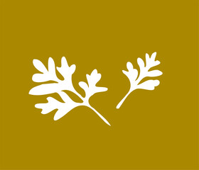 Fresh green herb leaves photographed on a clean white background. Natural botanical foliage with simple composition, ideal for food, health, herbal, organic, gardening, and nature-related design