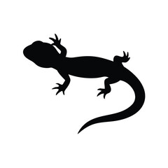 Obraz premium Amphibian Newt Silhouette Isolated on White Background Vector Graphic for Biology Projects