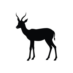 Fototapeta premium Black Springbok Silhouette Vector Graphic Isolated on White Background African Safari Wildlife