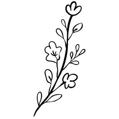 Minimal Floral Line Art Branch with Wild Flowers, Botanical Outline Illustration