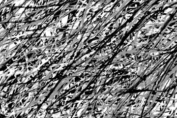 Abstract Artistic Chaos: A monochrome depiction of entangled lines and patterns, a study in contrasts, offering a unique visual experience that sparks the imagination.