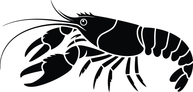 Detailed crawfish vector illustration isolated on white background underwater crustacean seafood graphic design element for restaurant menu branding or educational material for marine biology wildlife