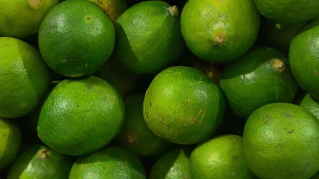 Slow zoom out footage of fresh green limes stacked together, showing natural texture and vibrant green color.