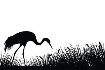 Fototapeta premium Elegant crane bird silhouette foraging in grassy wetlands monochrome illustration wildlife nature scene avian species migratory bird black and white minimalist design for conservation environmental aw