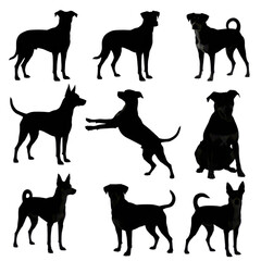 Collection of dog silhouettes isolated on transparent background