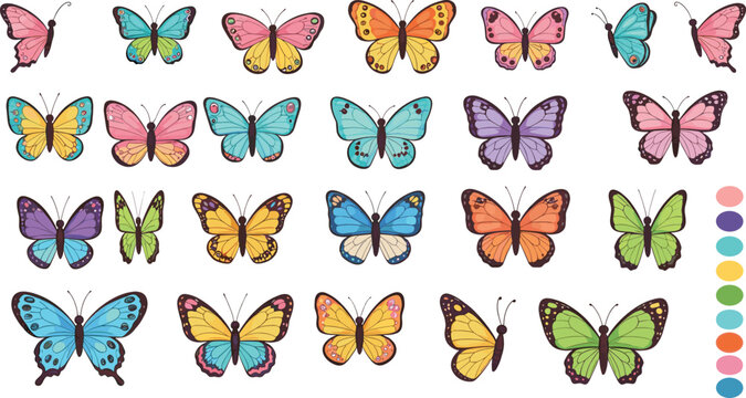 Colorful butterfly illustration set with multiple species wings patterns and vibrant designs in detailed flat vector style
