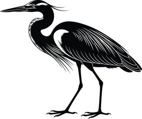 Obraz premium Elegant black heron vector illustration standing tall in minimalist style wildlife animal graphic design element for nature conservation prints environmental awareness campaigns or ornithology educati