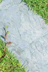 Naklejka premium Close-up view of granite laid on grass lawn, creating a natural