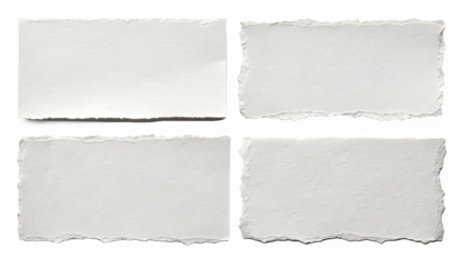 A set of four torn paper rectangles on a transparent background