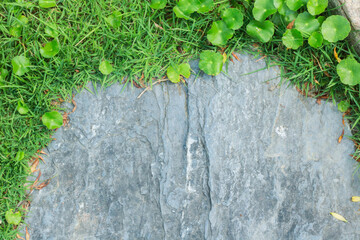Close-up view of granite laid on grass lawn, creating a natural