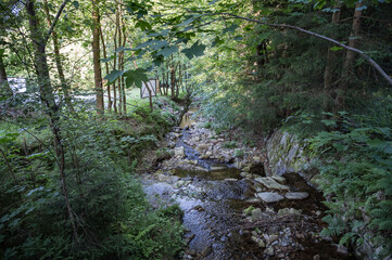 Fototapeta premium Szklarki Waterfall in Piechowice , Poland 01 July 2025, visiting the park with the Szklarki waterfall located in the forest.