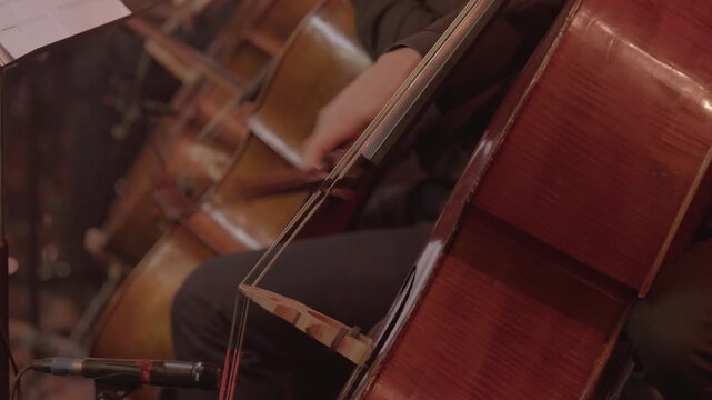 Close-Up of Three Cellists Playing Cello During Concert, Slog3