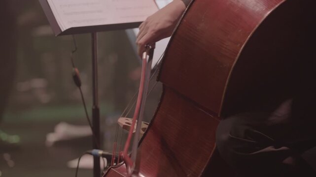 Close-Up of Cellist Playing Cello During Concert, Slog3
