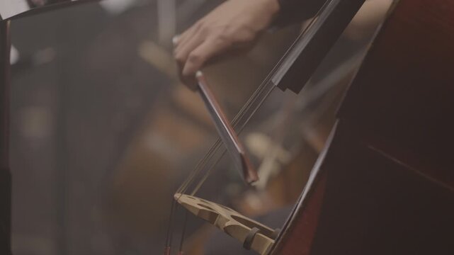 Close-Up of Cellist Playing Cello During Concert, Slog3