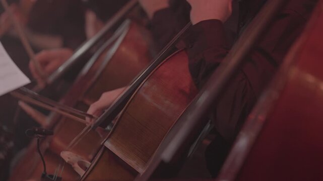 Close-Up of Cellist Playing Cello During Concert, Slog3