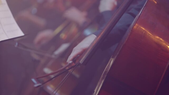 Close-Up of Three Cellists Playing Cello During Concert, Slog3