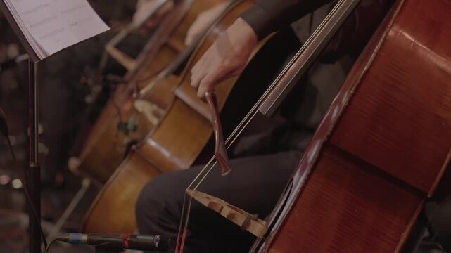 Close-Up of Three Cellists Playing Cello During Concert, Slog3