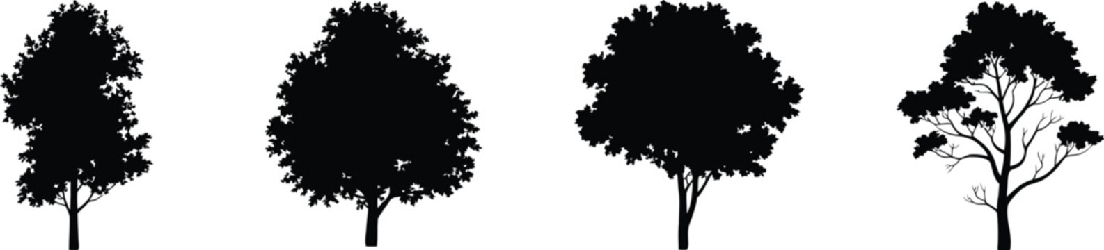 Four black tree silhouettes on white background