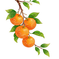 Mandarin Oranges with Traditional Chinese Cloud Pattern Texture on Bright Green Leaves