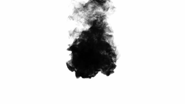 Black ink dropping on white background (4K_24fps)