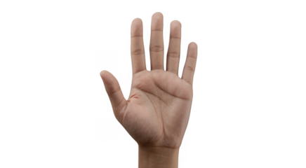 Hand with palm facing forward and fingers spread gesture isolated on a transparent background