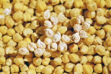 Soaked chickpeas ready for cooking in clean water, photographed in minimal style. Represents vegan meal preparation, healthy eating habits, digestive friendly food, and modern plant based lifestyle.